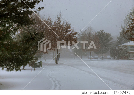 Winter scene of a snow storm in this Winter scene of a snow storm in this 37202472