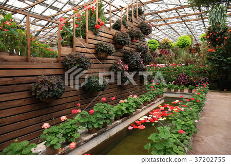 來自Matsue Vogel Park 37202755