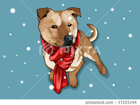 illustration of Pet - cute bulldog, Chihuahua, poodle, Maltese and etc.001 illustration of Pet - cute bulldog, Chihuahua, poodle, Maltese and etc.001 37203294