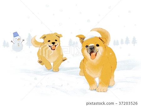 Vector of puppy, a litter of puppies, 2018 002 37203526