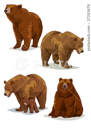 Animals 009 Animals 009 37203676