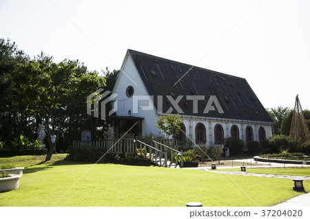 RF photo - Natural scenery. country side in season of Autumn, gardening, flowers, blue sky 169 RF photo - Natural scenery. country side in season of Autumn, gardening, flowers, blue sky 169 37204020