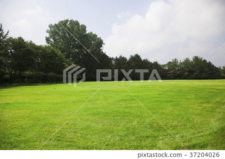RF photo - Natural scenery. country side in season of Autumn, gardening, flowers, blue sky 168 RF photo - Natural scenery. country side in season of Autumn, gardening, flowers, blue sky 168 37204026