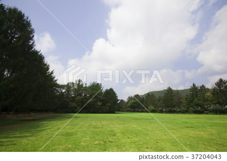 RF photo - Natural scenery. country side in season of Autumn, gardening, flowers, blue sky 159 37204043