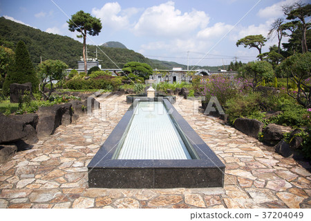 RF photo - Natural scenery. country side in season of Autumn, gardening, flowers, blue sky 156 RF photo - Natural scenery. country side in season of Autumn, gardening, flowers, blue sky 156 37204049