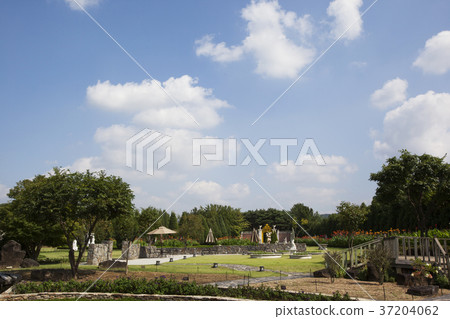 RF photo - Natural scenery. country side in season of Autumn, gardening, flowers, blue sky 150 RF photo - Natural scenery. country side in season of Autumn, gardening, flowers, blue sky 150 37204062