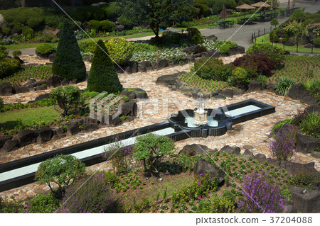 RF photo - Natural scenery. country side in season of Autumn, gardening, flowers, blue sky 120 RF photo - Natural scenery. country side in season of Autumn, gardening, flowers, blue sky 120 37204088
