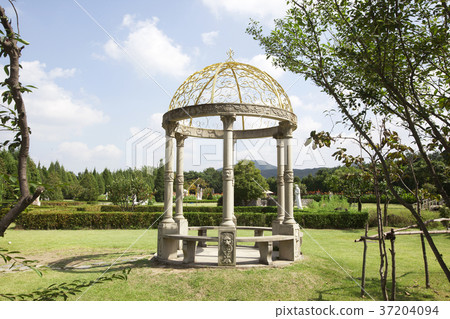 RF photo - Natural scenery. country side in season of Autumn, gardening, flowers, blue sky 135 RF photo - Natural scenery. country side in season of Autumn, gardening, flowers, blue sky 135 37204094