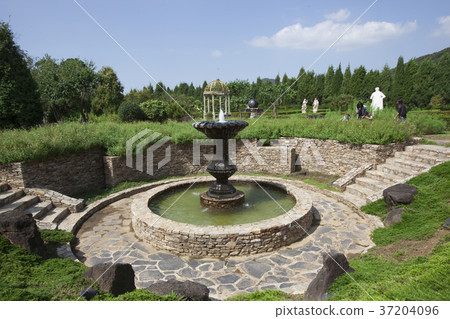 RF photo - Natural scenery. country side in season of Autumn, gardening, flowers, blue sky 134 RF photo - Natural scenery. country side in season of Autumn, gardening, flowers, blue sky 134 37204096