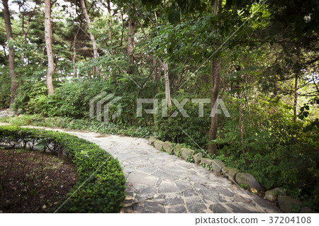 RF photo - Natural scenery. country side in season of Autumn, gardening, flowers, blue sky 136 37204108