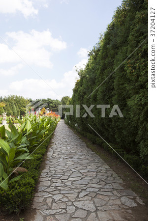 RF photo - Natural scenery. country side in season of Autumn, gardening, flowers, blue sky 130 RF photo - Natural scenery. country side in season of Autumn, gardening, flowers, blue sky 130 37204127