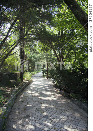 RF photo - Natural scenery. country side in season of Autumn, gardening, flowers, blue sky 104 RF photo - Natural scenery. country side in season of Autumn, gardening, flowers, blue sky 104 37204137