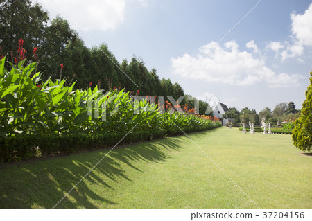 RF photo - Natural scenery. country side in season of Autumn, gardening, flowers, blue sky 127 RF photo - Natural scenery. country side in season of Autumn, gardening, flowers, blue sky 127 37204156