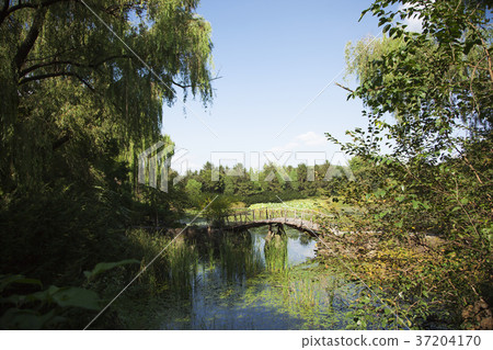 RF photo - Natural scenery. country side in season of Autumn, gardening, flowers, blue sky 115 RF photo - Natural scenery. country side in season of Autumn, gardening, flowers, blue sky 115 37204170