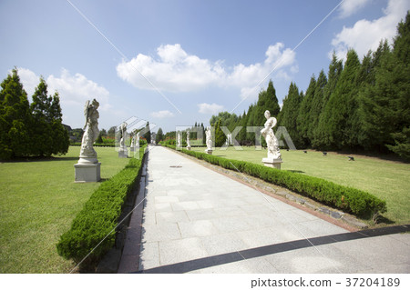 RF photo - Natural scenery. country side in season of Autumn, gardening, flowers, blue sky 080 RF photo - Natural scenery. country side in season of Autumn, gardening, flowers, blue sky 080 37204189