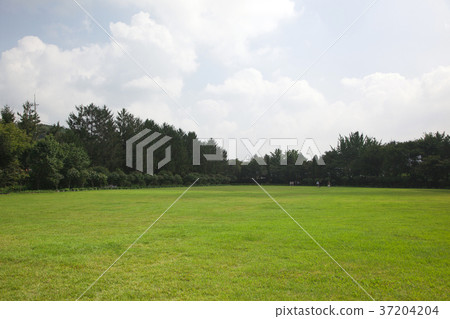 RF photo - Natural scenery. country side in season of Autumn, gardening, flowers, blue sky 097 RF photo - Natural scenery. country side in season of Autumn, gardening, flowers, blue sky 097 37204204
