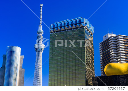 《東京》從淺草看的天空樹 《東京》從淺草看的天空樹 37204637