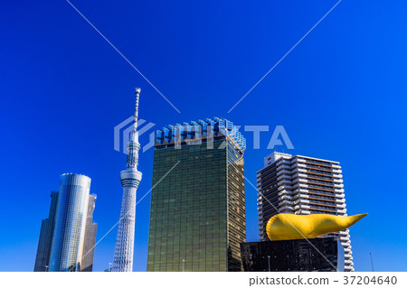 《東京》從淺草看的天空樹 《東京》從淺草看的天空樹 37204640