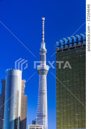 《東京》從淺草看的天空樹 37204646