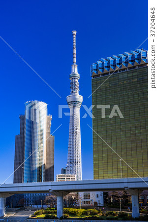 《東京》從淺草看的天空樹 《東京》從淺草看的天空樹 37204648