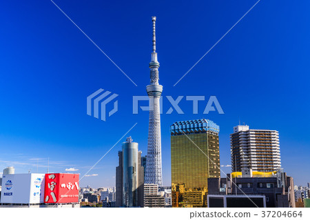 《東京》從淺草看的天空樹 《東京》從淺草看的天空樹 37204664