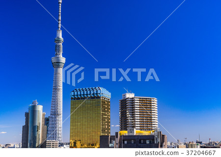 《東京》從淺草看的天空樹 37204667