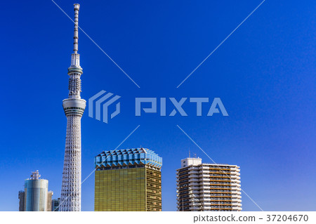 《東京》從淺草看的天空樹 《東京》從淺草看的天空樹 37204670