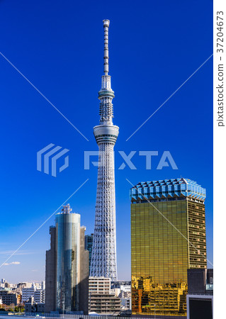 《東京》從淺草看的天空樹 《東京》從淺草看的天空樹 37204673