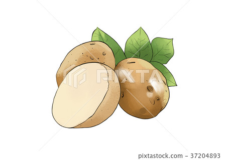 season food 045 37204893