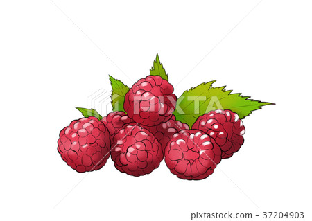 season food 047 37204903