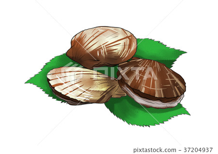 season food 040 37204937