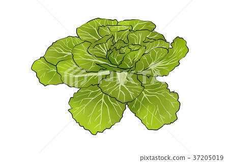 season food 009 37205019