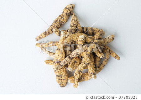 Dry medicinal plants 023 Dry medicinal plants 023 37205323