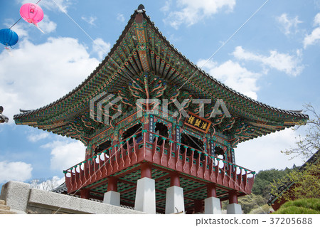 Temple 168 37205688