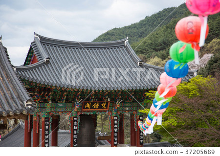 Temple 192 Temple 192 37205689