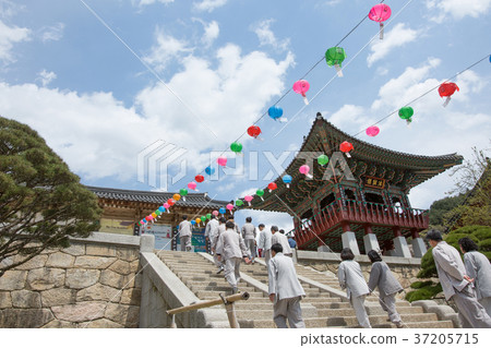 Temple 163 Temple 163 37205715