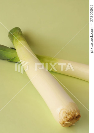 Leek leek 37205865