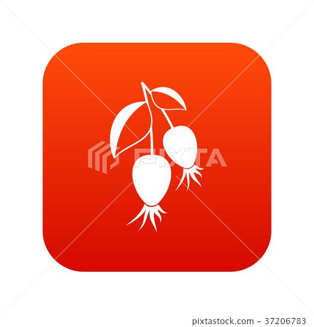 Dogrose berries branch icon digital red 37206783