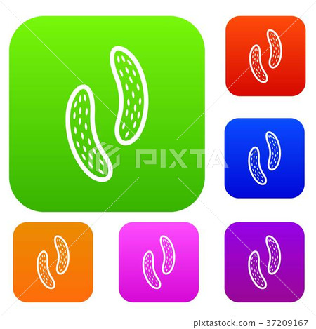 Epithelial cell set collection 37209167