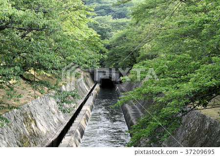 琵琶湖水庫1號泉水1號隧道東 37209695