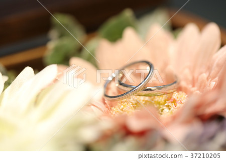 [微距拍攝]結婚戒指圖片1 37210205