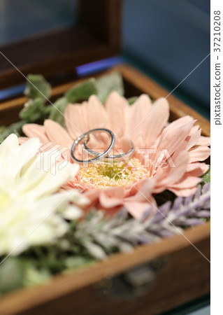 [微距拍攝]結婚戒指圖片2 37210208