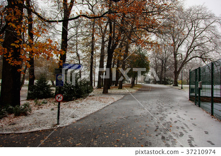 England-Snowy Park- 37210974