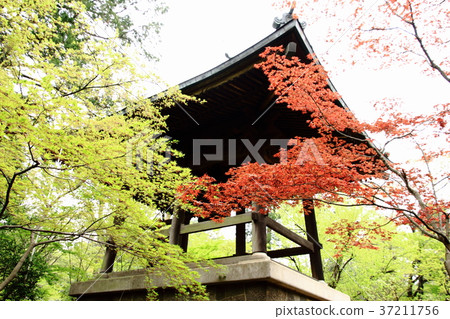 Hirabayashi寺,鐘樓,新鮮綠色,四月,半和尚 Hirabayashi寺,鐘樓,新鮮綠色,四月,半和尚 37211756