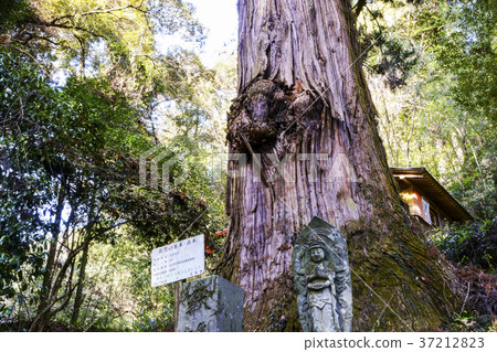Shimizu Kannon Treasure Temple Shimizu Kannon Shimizu Kannon Treasure Temple Shimizu Kannon 37212823