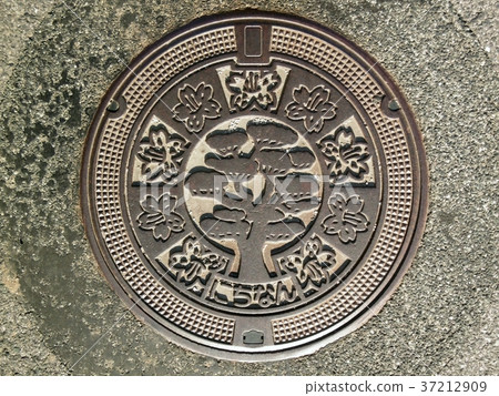 Manhole in Nichinan Town Manhole in Nichinan Town 37212909