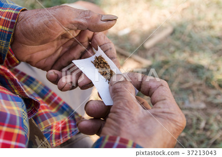 old man hand made cigarette rolling with smoking old man hand made cigarette rolling with smoking 37213043