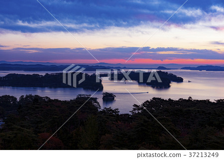 Japan's Three Views, Morning Shot of Matsushima Bay 37213249