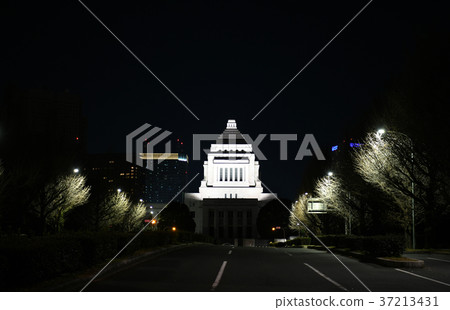 Tokyo cityscape in Japan / The parliament building calmed down = January 2, 2018 37213431