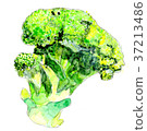broccoli 37213486